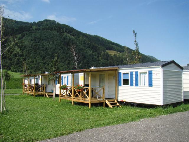 bella aus Peterdorf.JPG