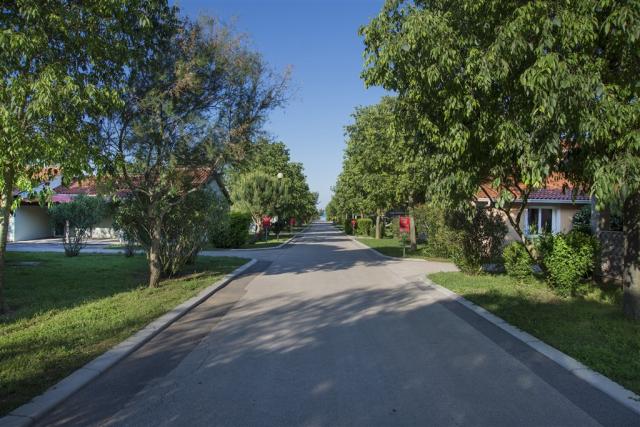 VIALE_1.jpg