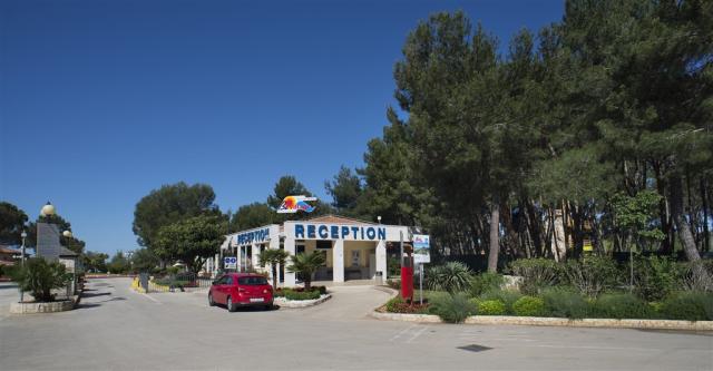 RECEPTION_1.jpg
