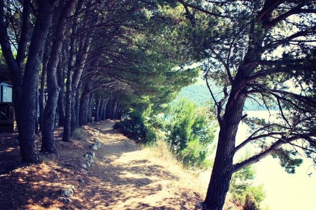 plaz (7).JPG