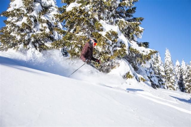 Win_freeride_passo_coe_2019_Gober (1).jpg