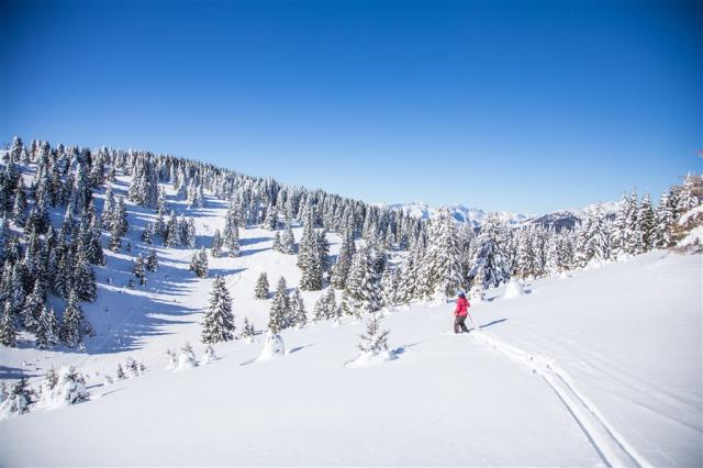 Win_freeride_passo_coe_2019_Gober (3).jpg