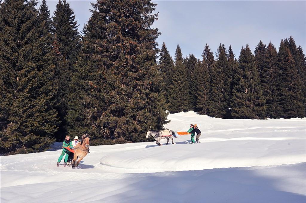 +Avoriaz 1800 (25).jpg