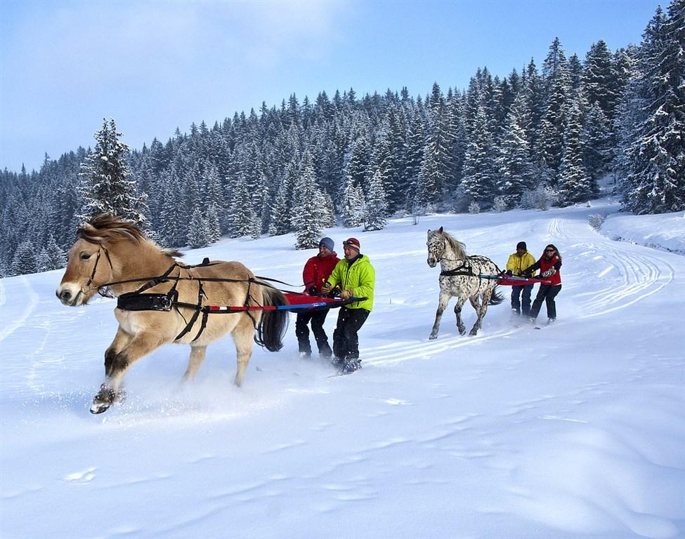 +Avoriaz 1800 (26).jpg