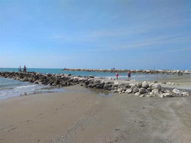 IMG-20200603-WA0000.jpg