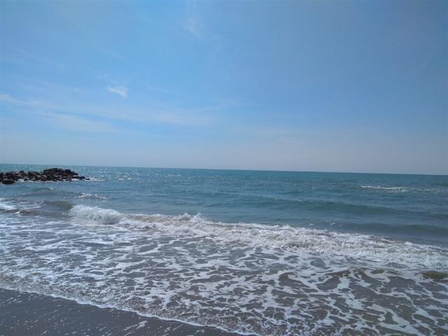 IMG-20200603-WA0001.jpg