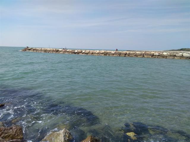 IMG-20200603-WA0002.jpg
