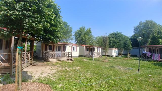 SCM Foto 3.jpg