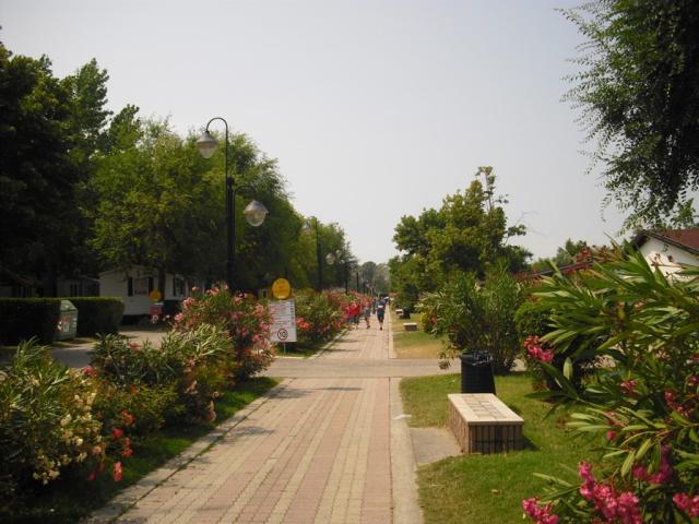 CIMG3525.jpg