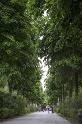 gallery-188278.jpg