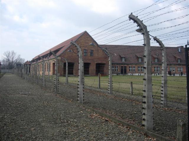 DSCN0909.JPG