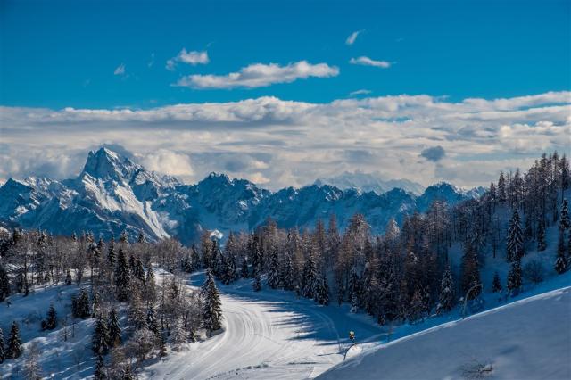 AdobeStock_413534990.jpeg