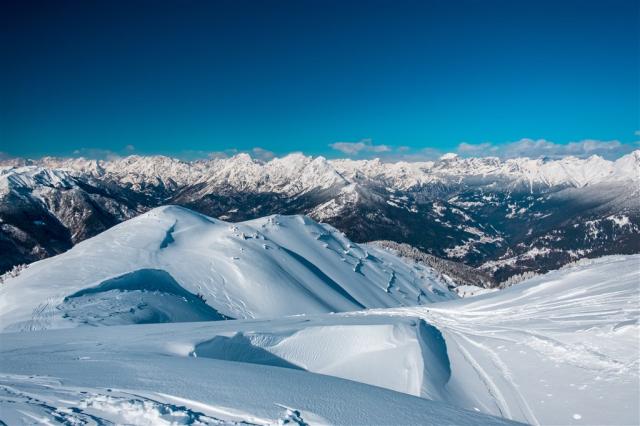 AdobeStock_464717101.jpeg