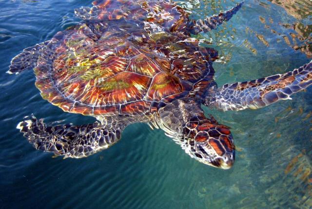 <p>Thajsko - Koh Samet</p>