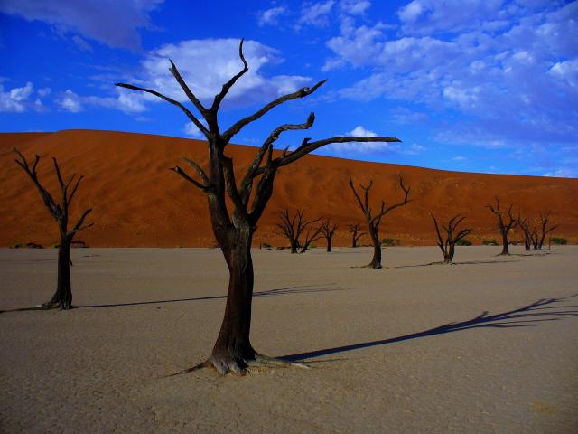 <p>Namibie - NP Namib Naukluft - Dead Vlei</p>