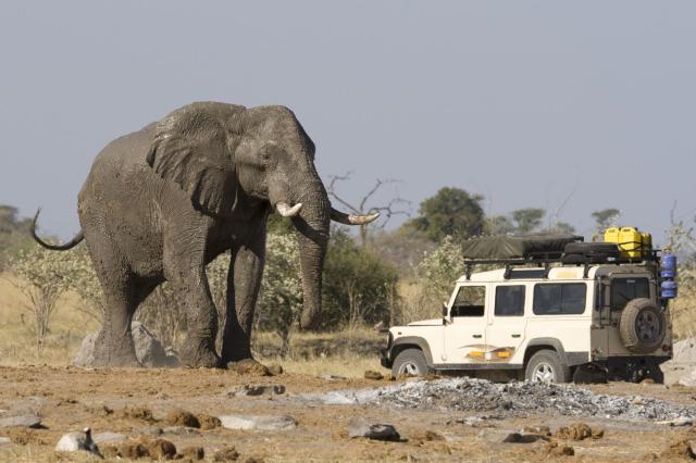 <p>Namibie - NP Etosha - Setkání se slonem na safari</p>