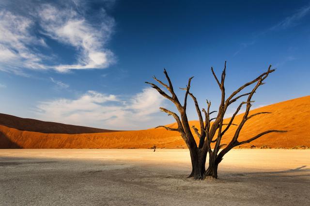 <p>Namibie - NP Namib Naukluft - Dead Vlei</p>