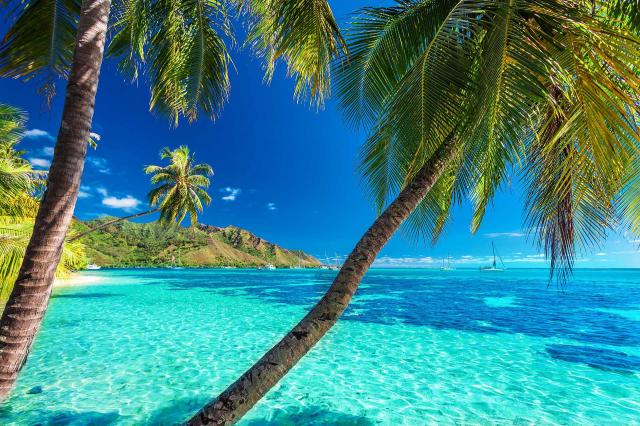 <p>Polynésie - Pláže na Bora Bora</p>