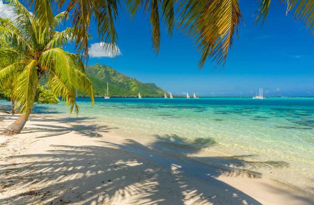 <p>Polynésie - Pláže s palmami na Bora Bora</p>