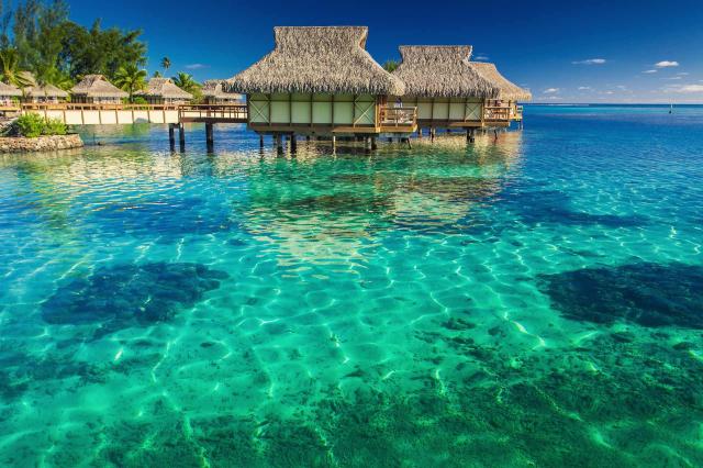 <p>Polynésie - Moorea</p>