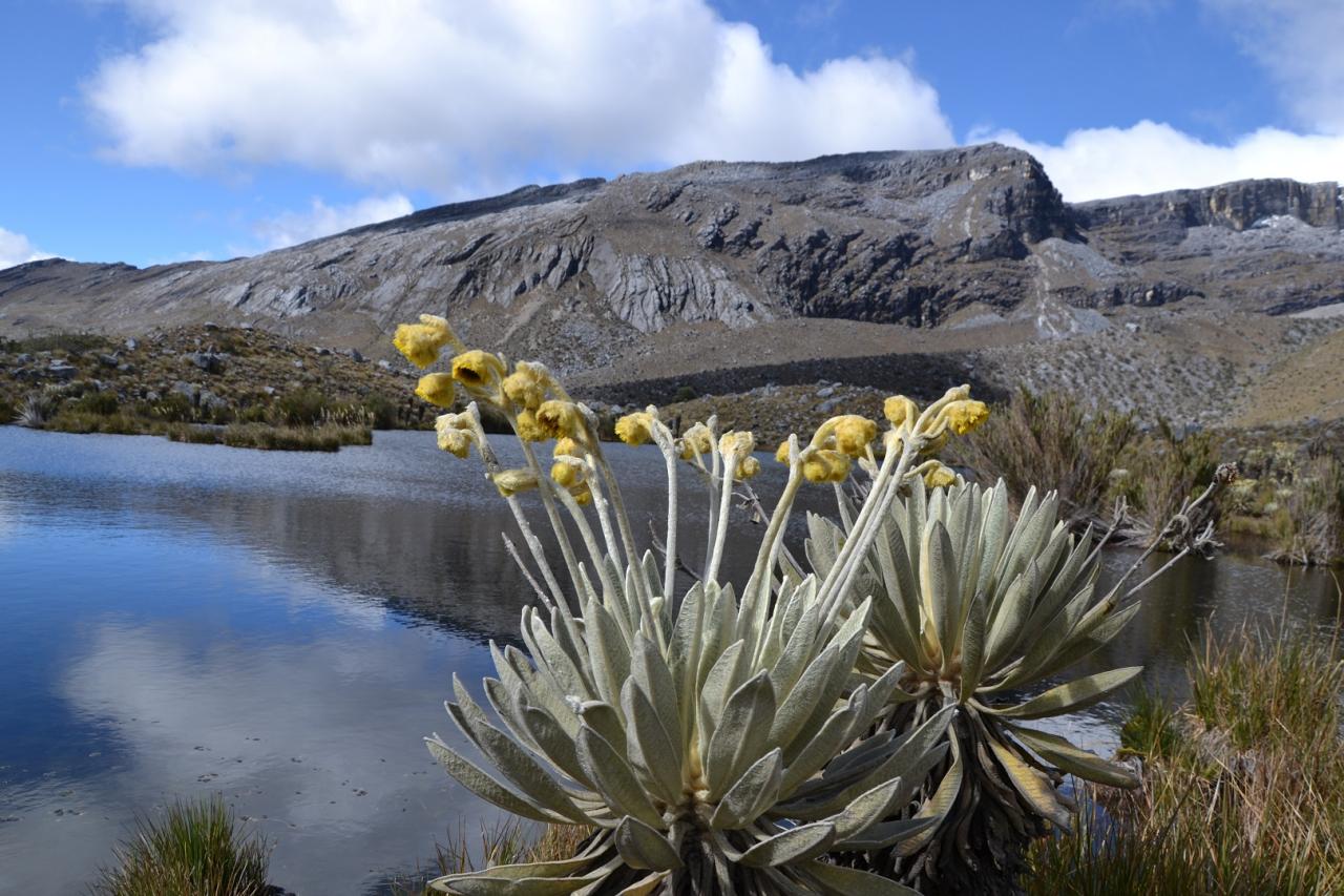 <p>Kolumbie – NP El Cocuy</p>