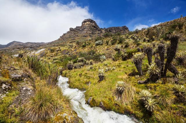 <p>Kolumbie – na treku v El Cocuy</p>