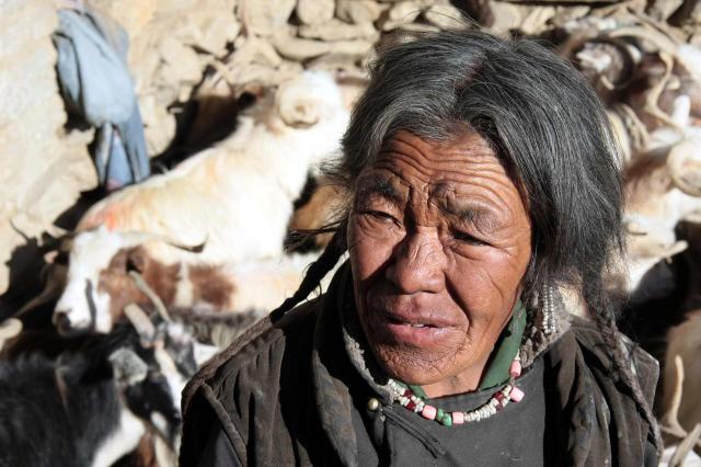 <p>Indie - obyvatelka Ladakhu</p>