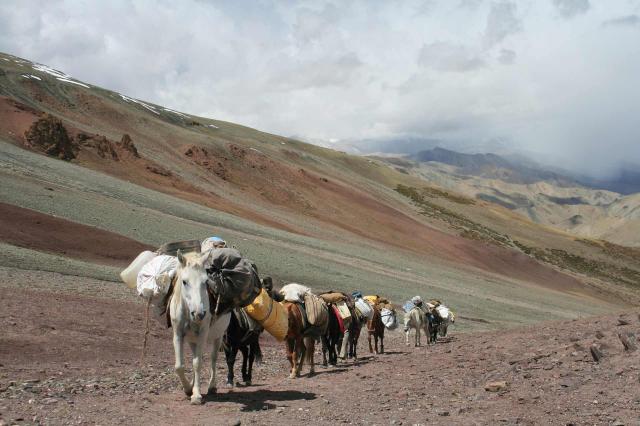 <p>Indie - trek, Zanskar</p>