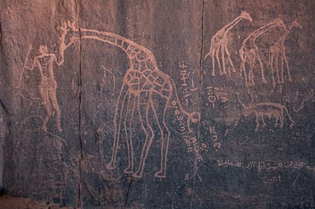 <p>Alžírsko – petroglyfy dokazující bohatý život na Sahaře – fo