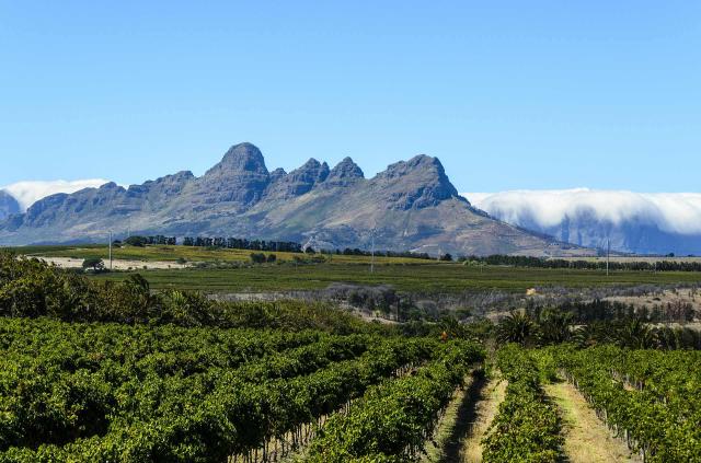 <p>Jihoafrická republika – nekonečné vinice Stellenbosh</p>