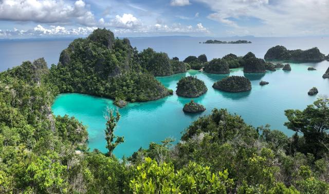 <p>Raja Ampat - krasové útvary nad hladinou i pod ní - foto Bar