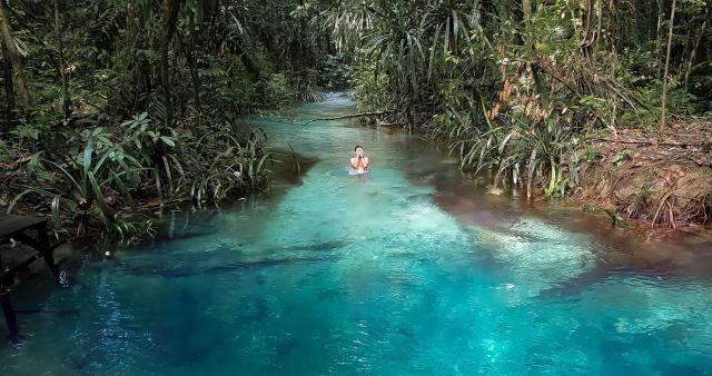 <p>Raja Ampat - Modrá řeka v tropické vegetaci - foto Bart ter 