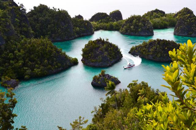 Papua i Kalimantan