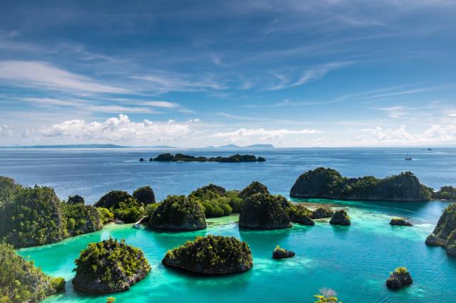 Papua i Kalimantan