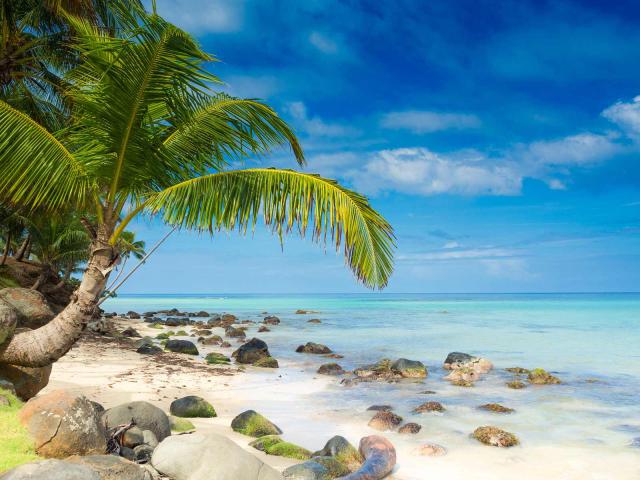 <p>Panama - Bocas del Toro - pláže Karibiku</p>