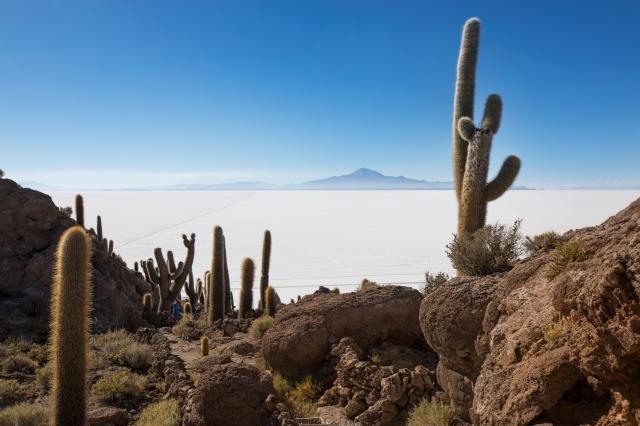 <p>Bolívie - Salar de Uyuni - ostrov Incahuasi - foto M. Grmole