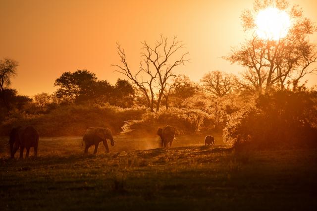 Botswana - Zimbabwe