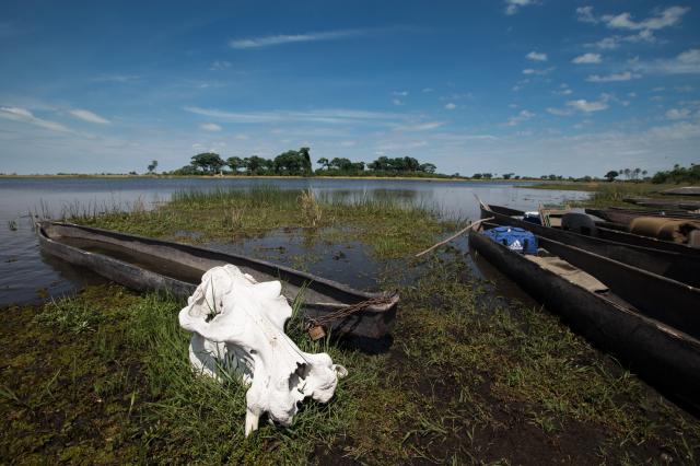 <p>Botswana - kanály a jezera delty Okavanga - foto M. Grmolens