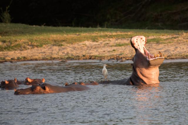 Botswana - Zimbabwe
