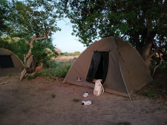 <p>Botswana - stany v kempu v deltě Okavanga</p>