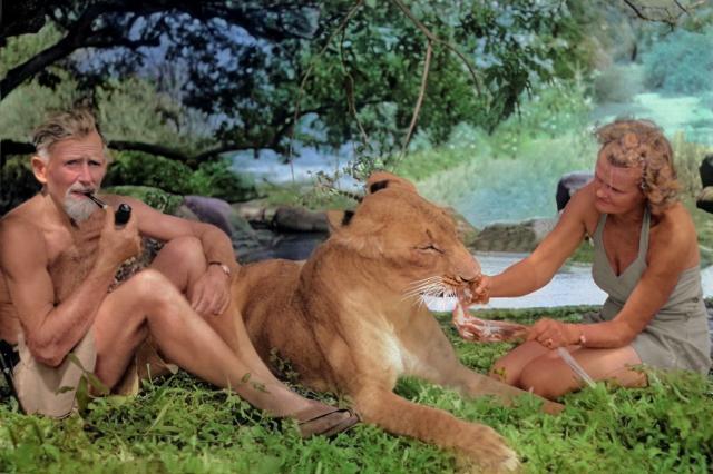 <p>Keňa - Joy a George Adamsonovi se lvicí Elsou - foto Elsa Co