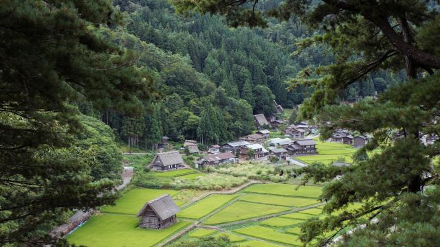 <p>Japonsko - pohádková vesnice Širakawa-go - foto Nguyen Khiem