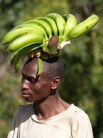 <p>Uganda - Originální nošení banánů</p>