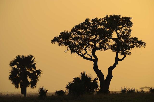 <p>Uganda - Západ slunce v NP Murchison Falls</p>