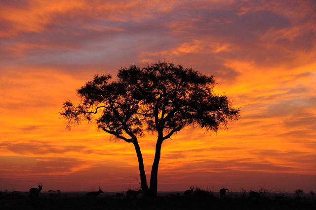 <p>Uganda - Západ slunce v NP Queen Elizabeth</p>