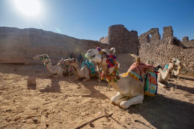 Egypt napodruhé