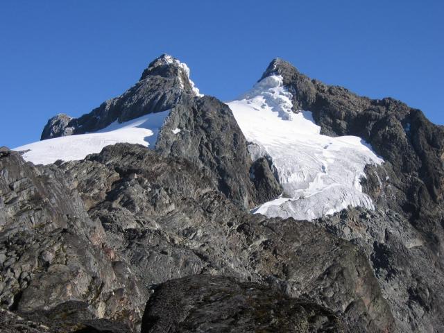 Uganda - Ruwenzori - horské gorily
