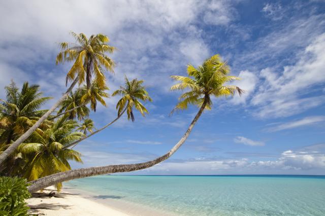 Vanuatu - Fidži