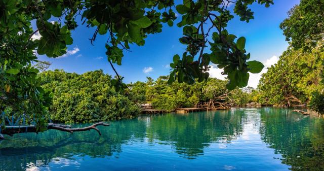 Vanuatu - Fidži