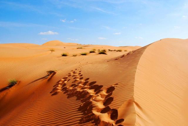 <p>Omán - duny pouště Wahiba Sands</p>